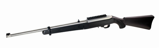 ruger 10/22 rifle rail.